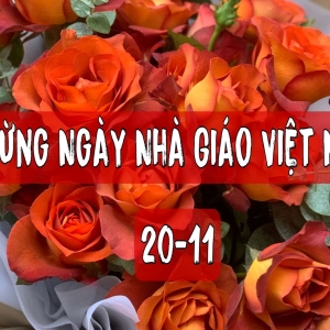 hoa-chuc-mung-ngay-nha-giao-viet-nam-2011-tri-an-nguoi-lai-do-tham-lang