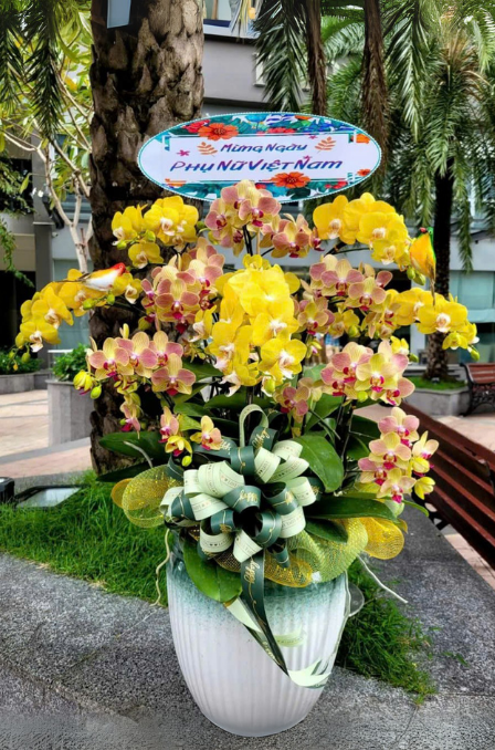 Mẫu Lan Hồ Điệp 1