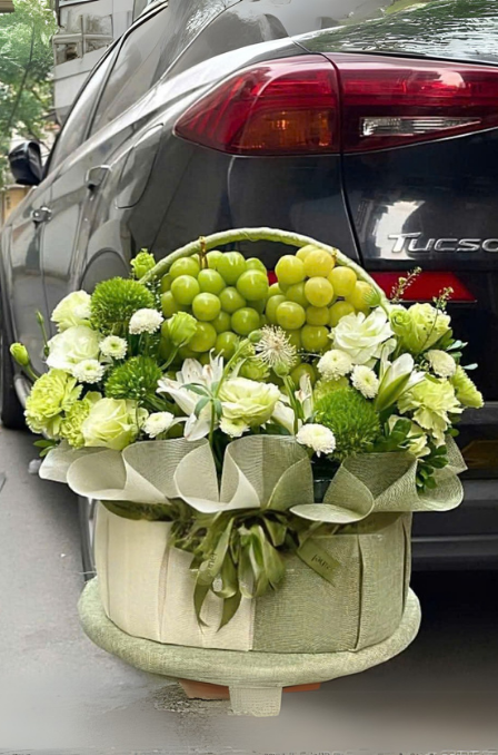 Mẫu Trái Cây Giỏ 2