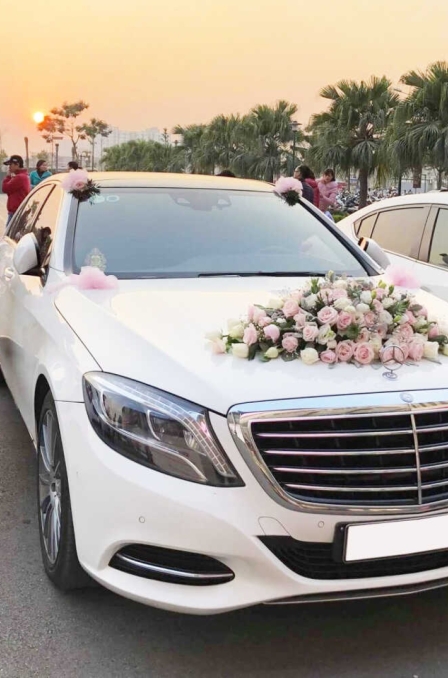 Mẫu Xe Hoa 5